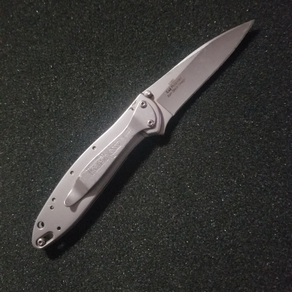 Kershaw Leek Stainless Steel